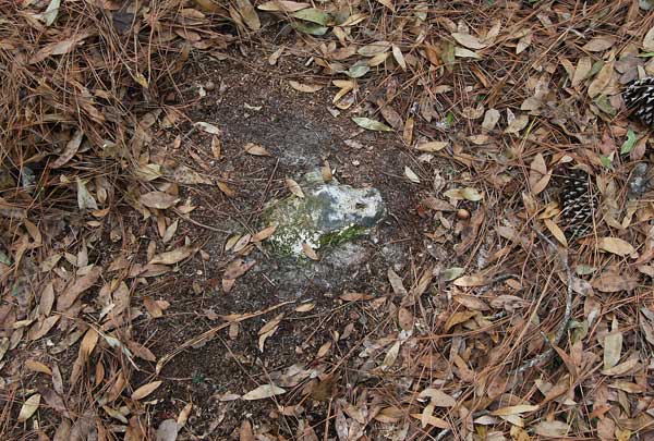  Unknown Gravestone Photo