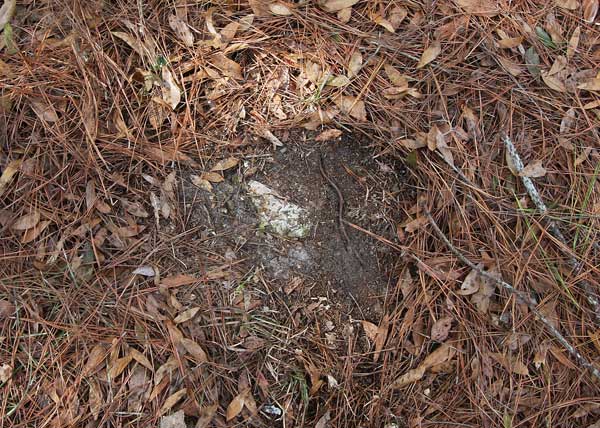  Unknown Gravestone Photo
