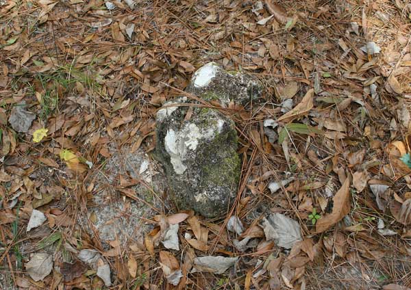  Unknown Gravestone Photo