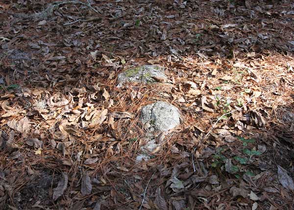  Unknown Gravestone Photo