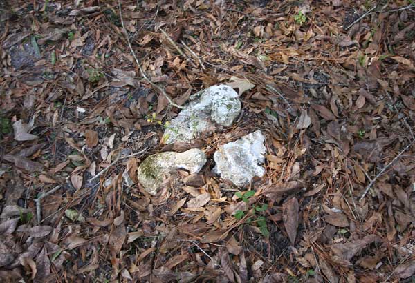  Unknown Gravestone Photo