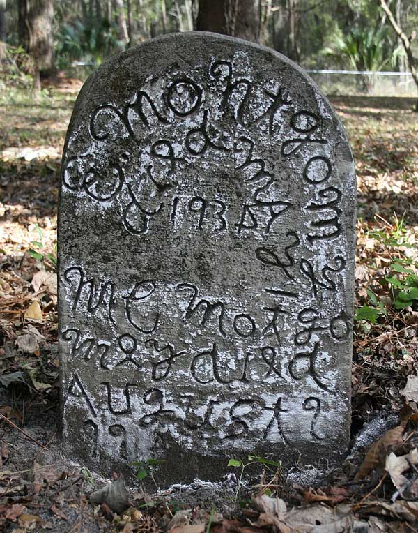 E. & M.C. Montgomery Gravestone Photo