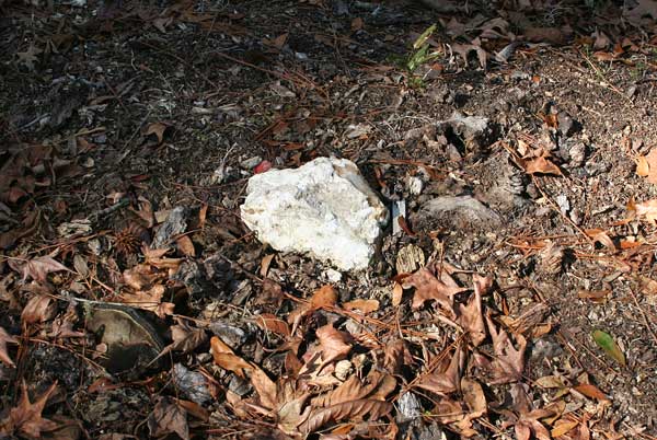  Unknown Gravestone Photo