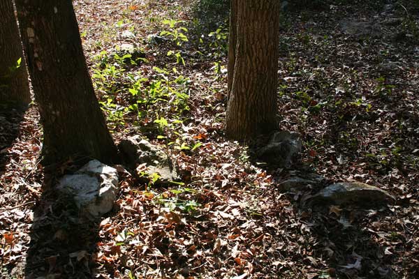  Unknown Gravestone Photo