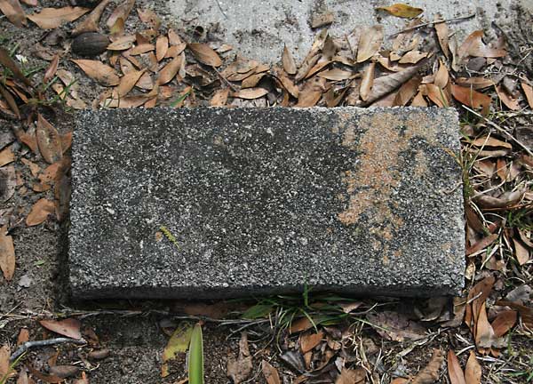  Unknown Gravestone Photo