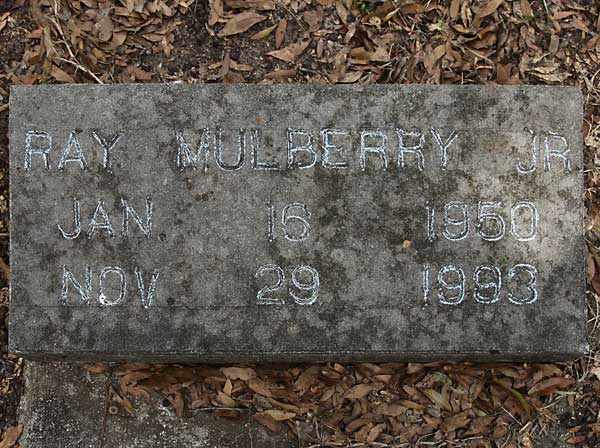 RAY MULBERRY Gravestone Photo