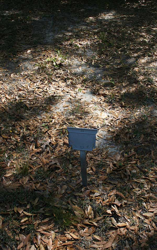  Unknown Gravestone Photo