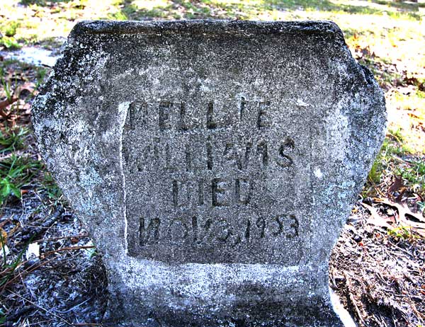Nellie Williams Gravestone Photo