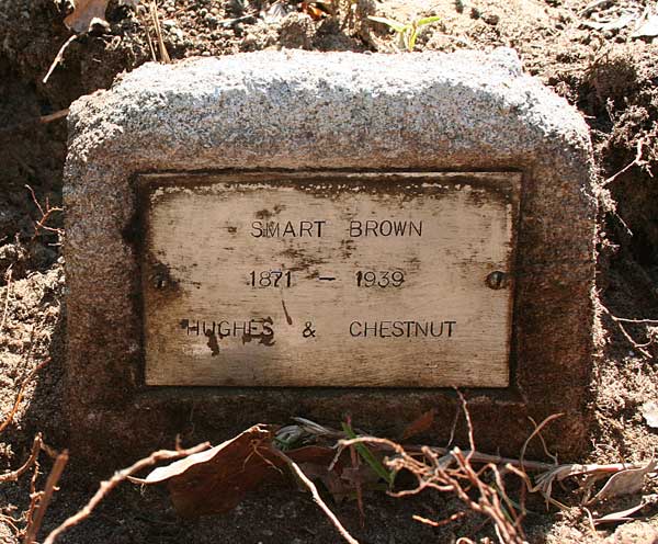 Smart Brown Gravestone Photo