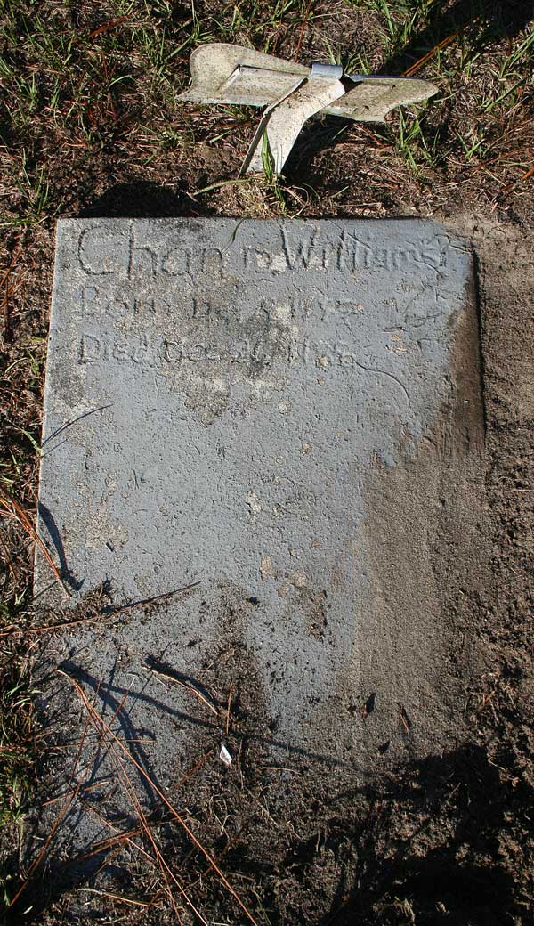 Chan D. Williams Gravestone Photo