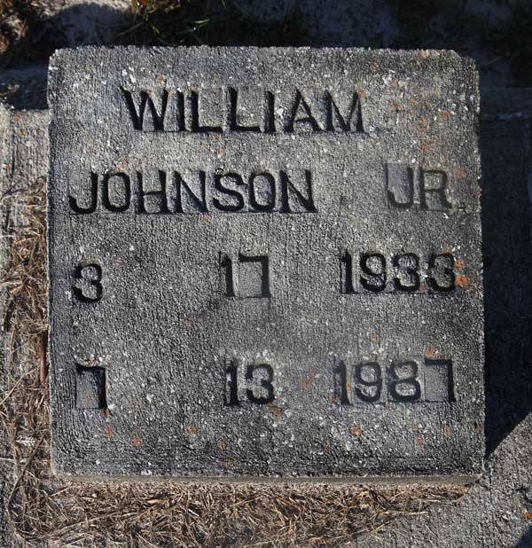 William Johnson Gravestone Photo