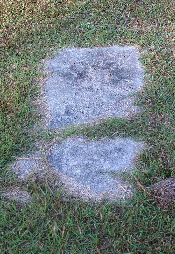  Unknown Gravestone Photo