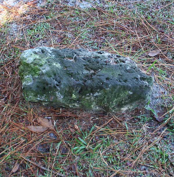 Unknown  Gravestone Photo