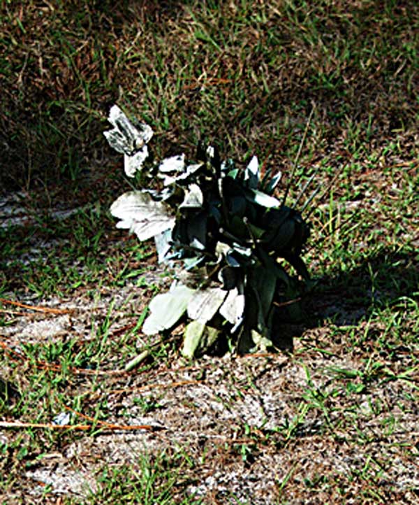  Unknown Gravestone Photo