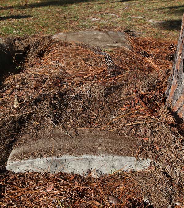  Unknown Gravestone Photo