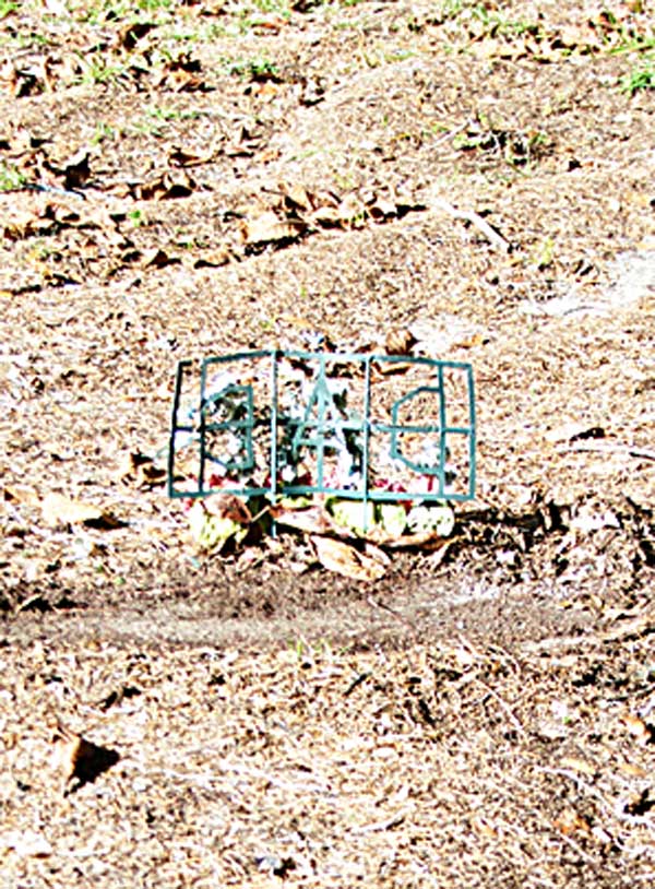  Unknown Gravestone Photo