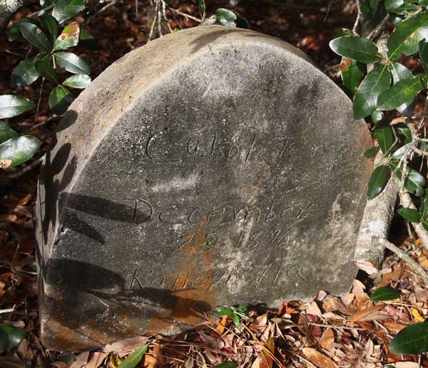Cubot Terry Gravestone Photo