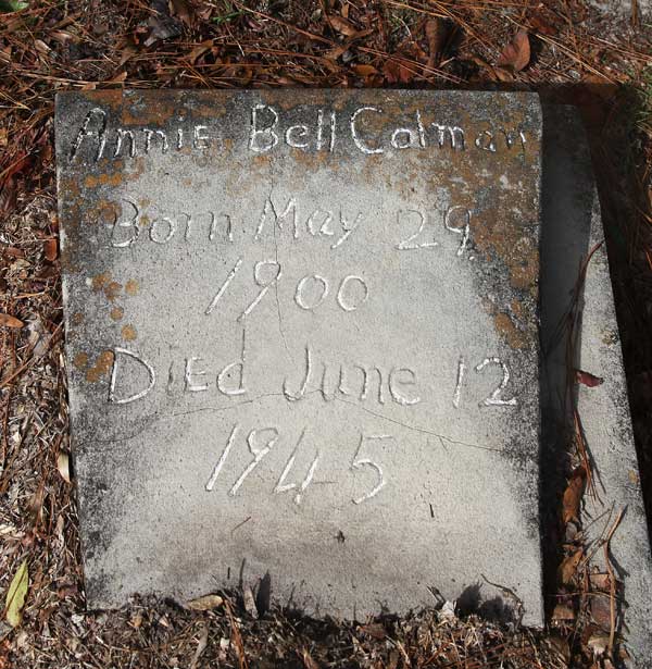 Annie Bell Colman Gravestone Photo
