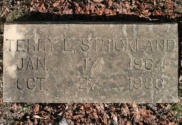 Terry L. Strickland Gravestone Photo