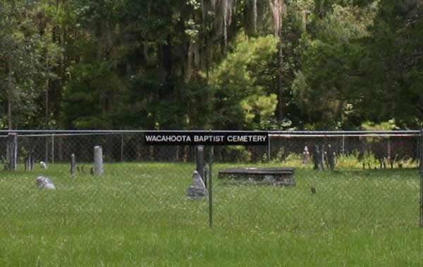  Sectional View Gravestone Photo