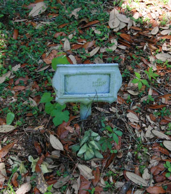  Unknown Gravestone Photo