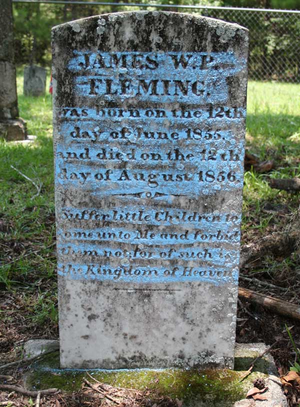James W.P. Fleming Gravestone Photo
