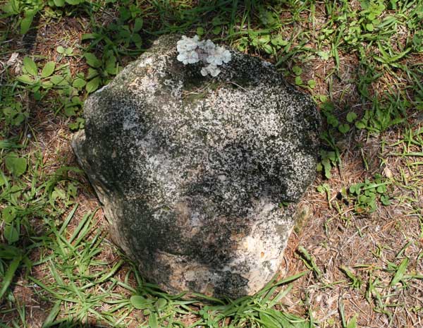  Unknown Gravestone Photo