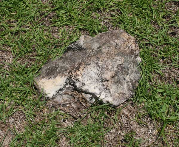 Unknown Gravestone Photo