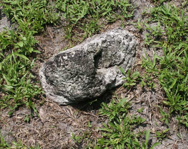  Unknown Gravestone Photo