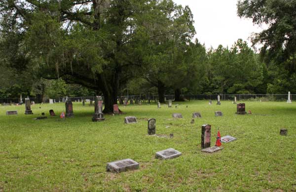  Sectional View Gravestone Photo