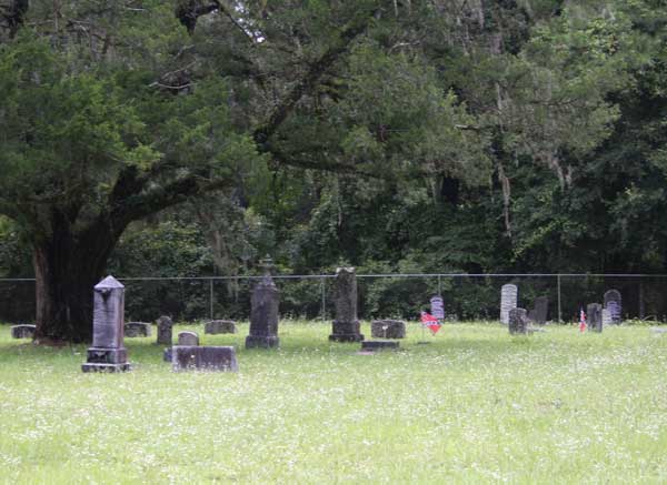  Sectional View Gravestone Photo