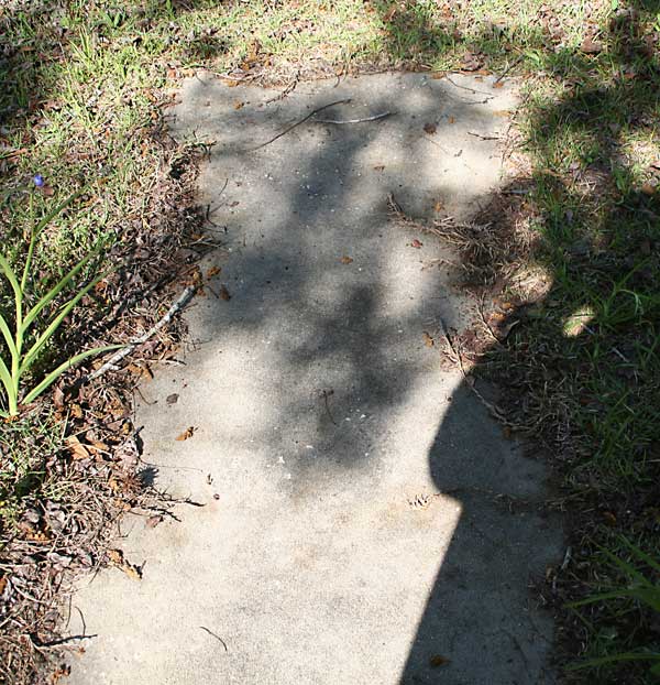  UNKNOWN Gravestone Photo