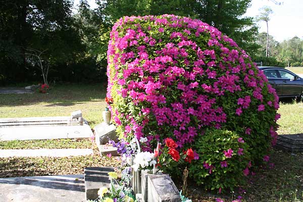 Wview Gravestone Photo