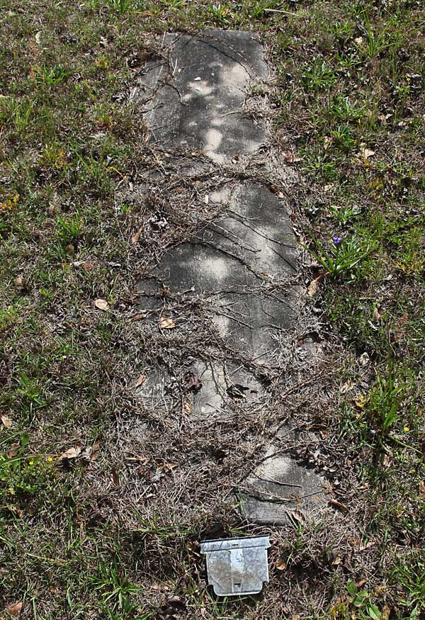  Unknown Gravestone Photo