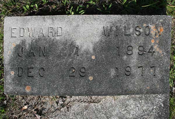 Edward Wilson Gravestone Photo
