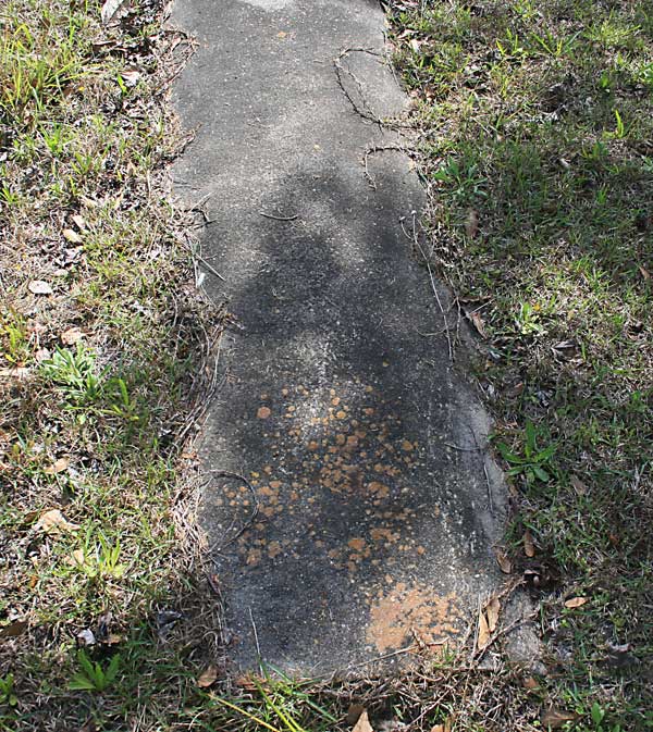  Unknown Gravestone Photo