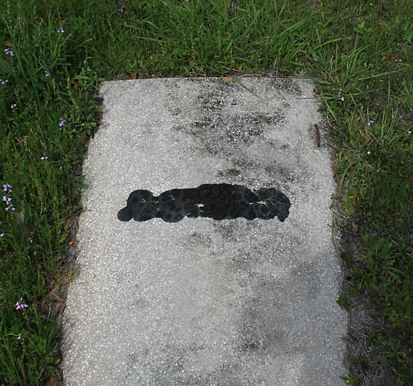 Unknown Gravestone Photo