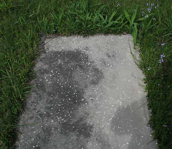  Unknown Gravestone Photo