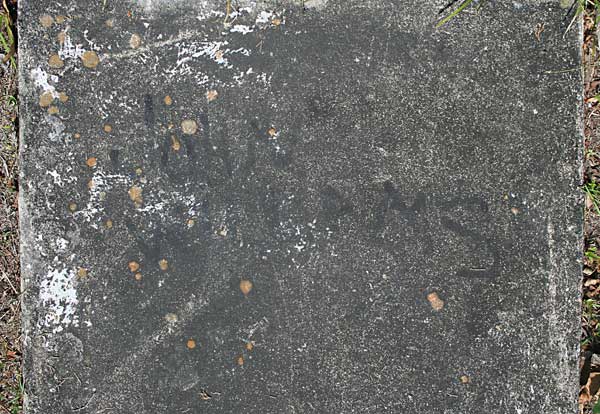 John Williams Gravestone Photo
