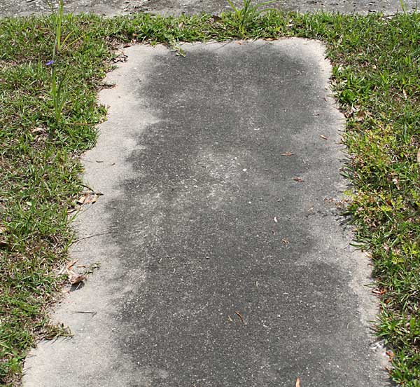  Unknown Gravestone Photo