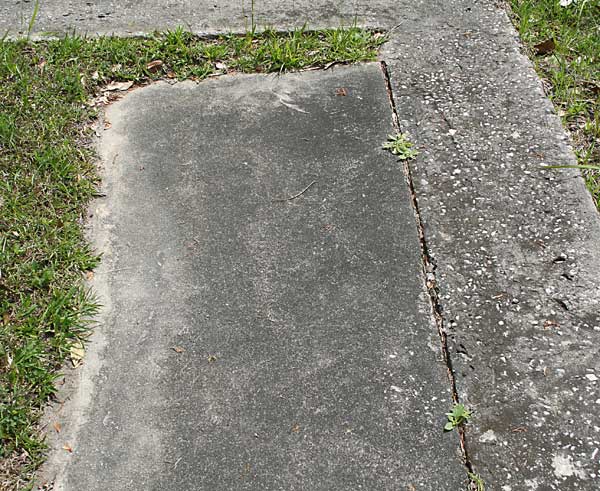  Unknown Gravestone Photo