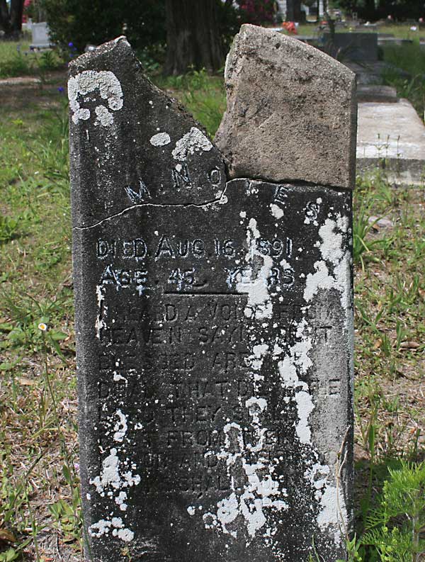 M. Noyes Gravestone Photo