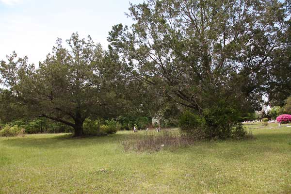  Wview Gravestone Photo