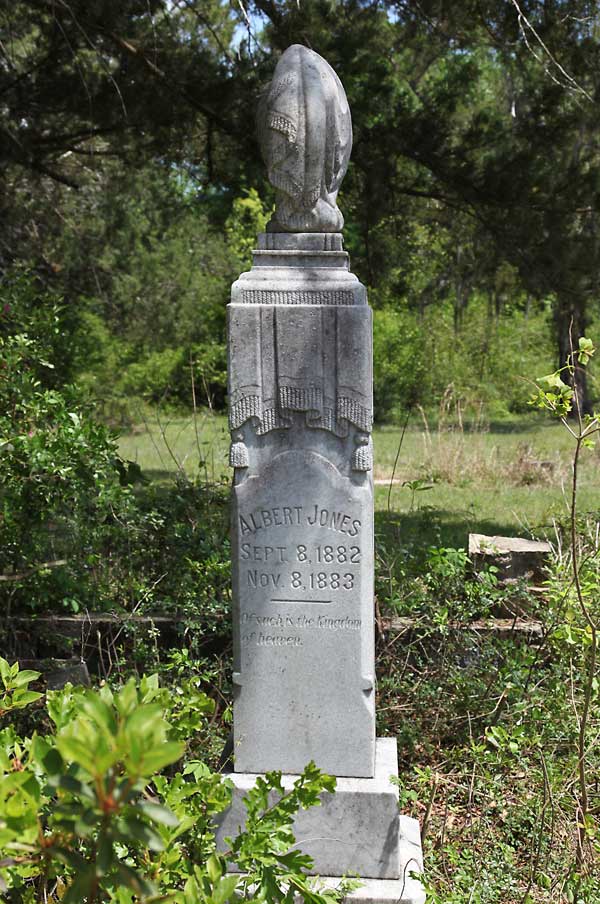 Albert Jones Gravestone Photo
