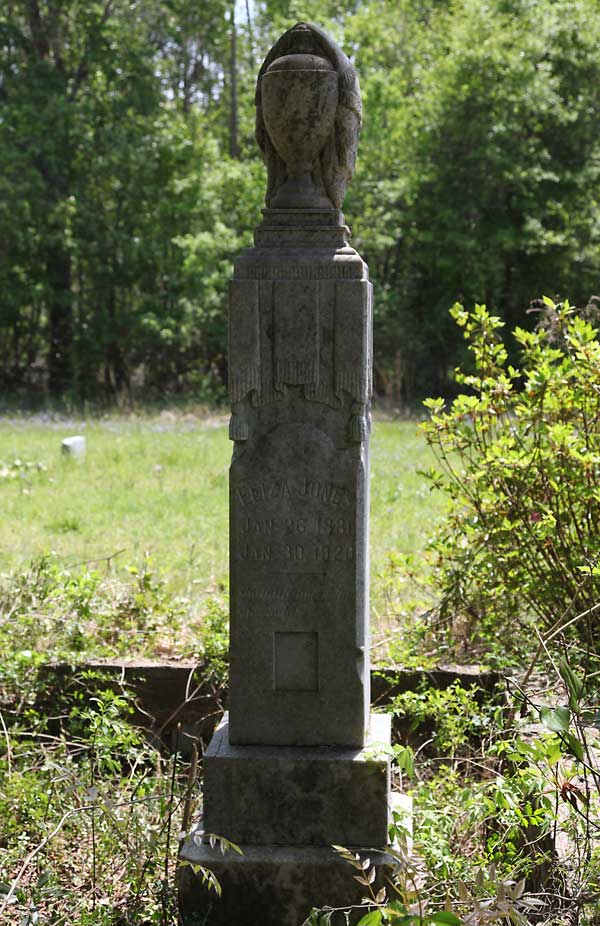 Euloa (?) Jones Gravestone Photo