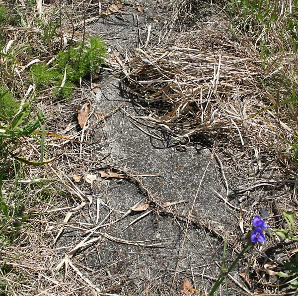  Unknown Gravestone Photo