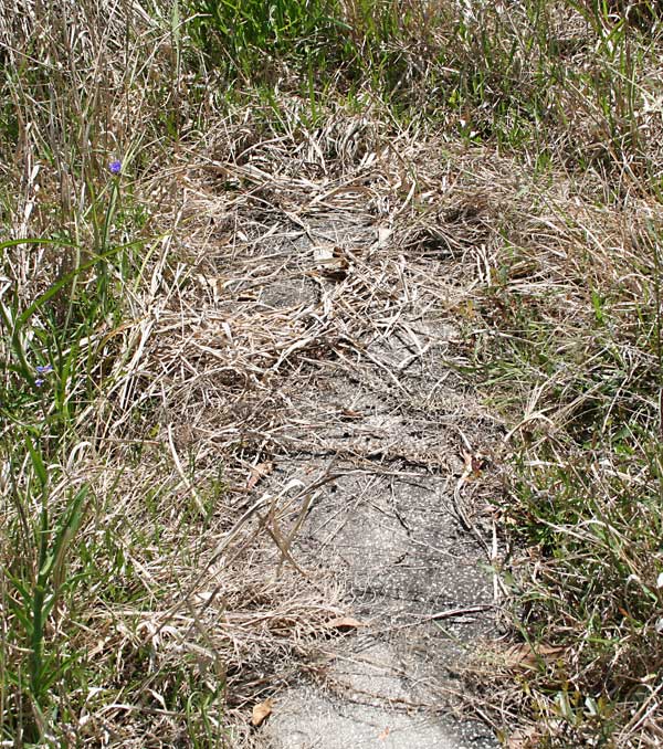  Unknown Gravestone Photo