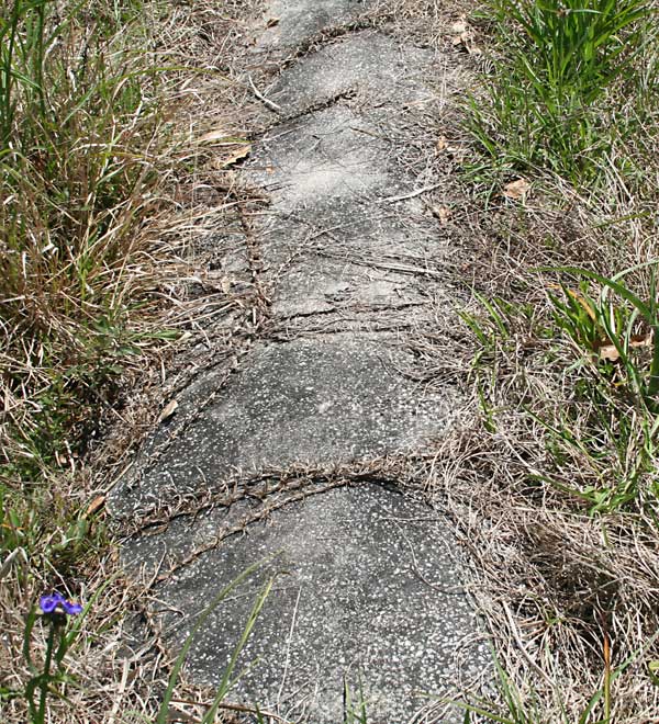  Unknown Gravestone Photo
