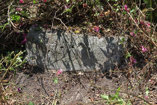  Unknown Gravestone Photo