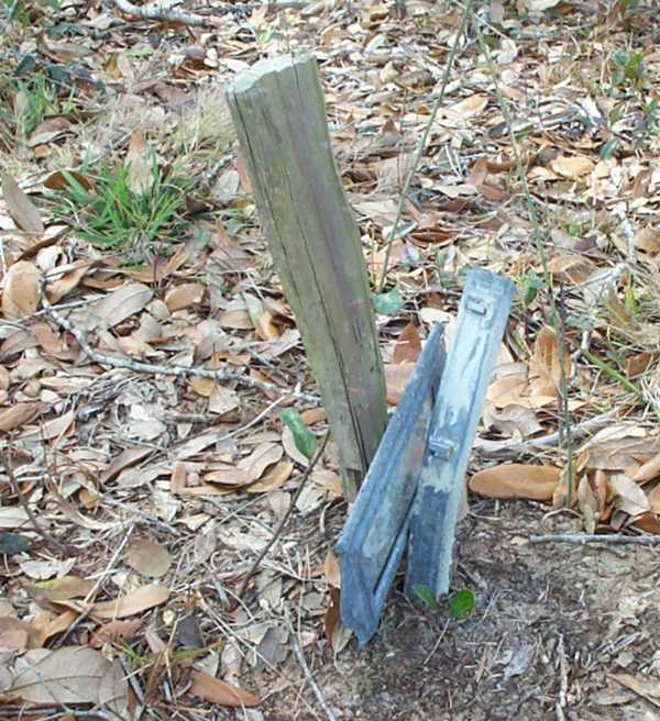  Unknown Gravestone Photo